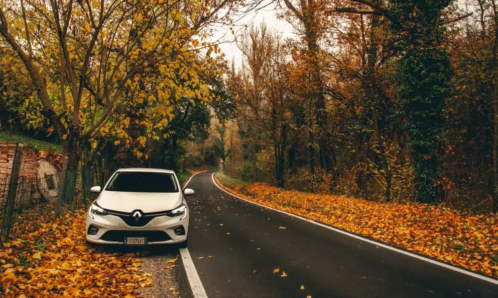 white and black car on road surrounded by trees during daytime