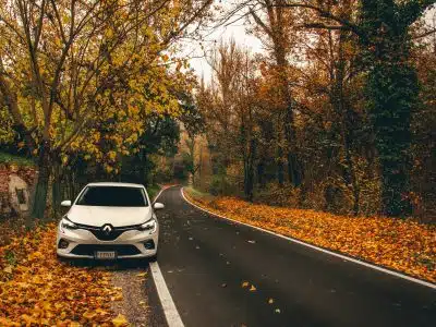 white and black car on road surrounded by trees during daytime